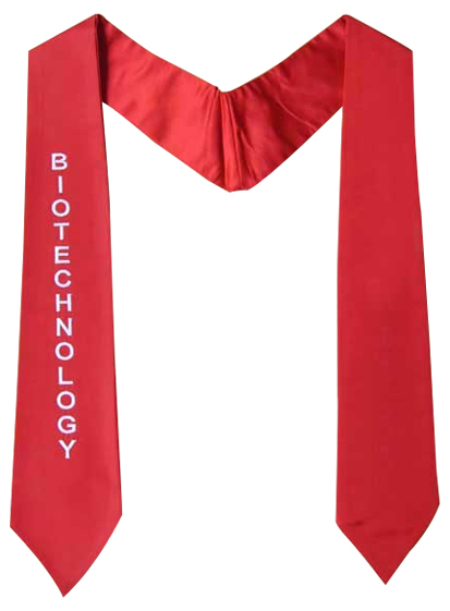 Graduation Stole - Stole, Sashes, Sash, Stoles